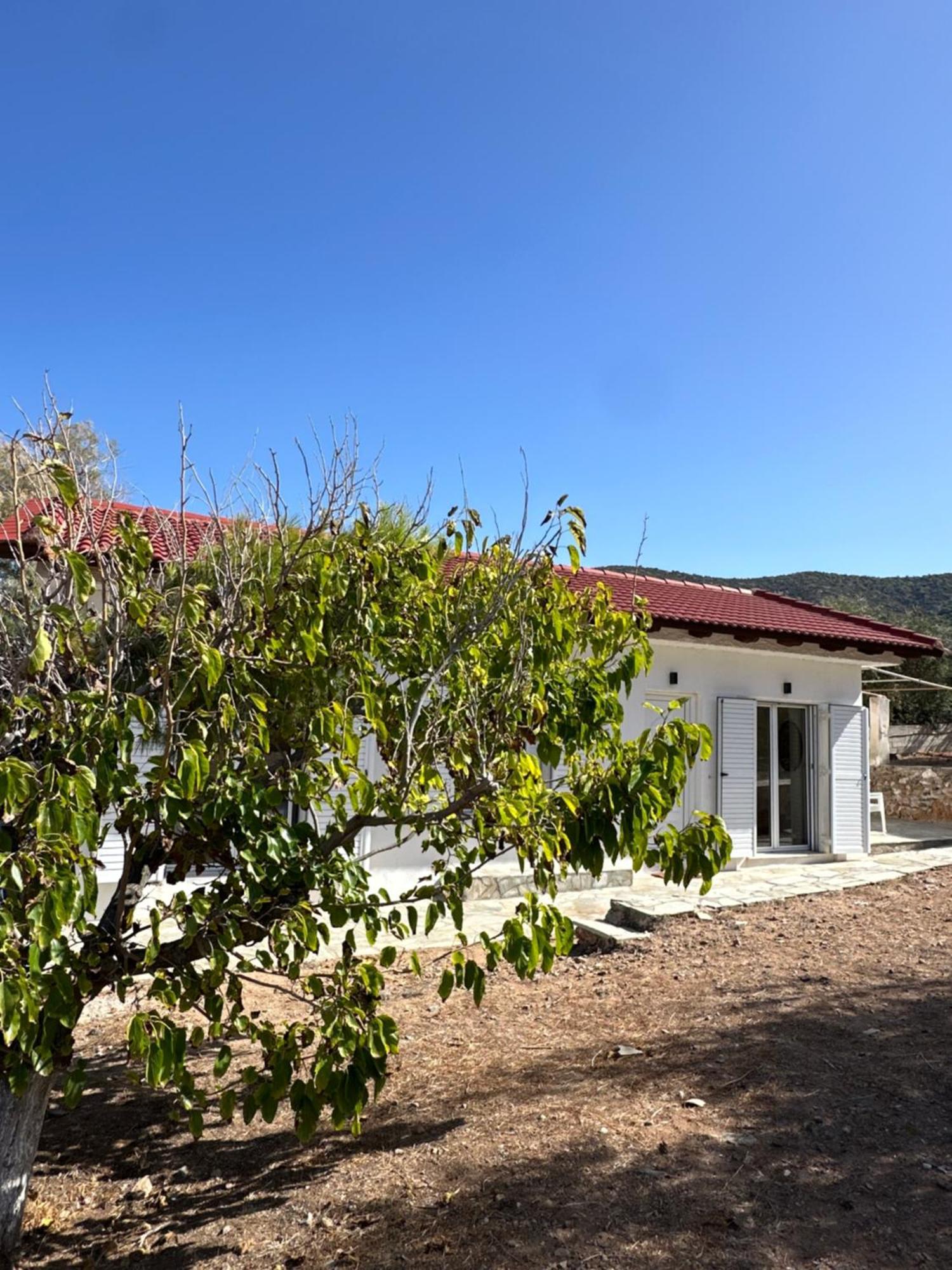 Coast Cottage Porto Rafti-Avlaki Zewnętrze zdjęcie